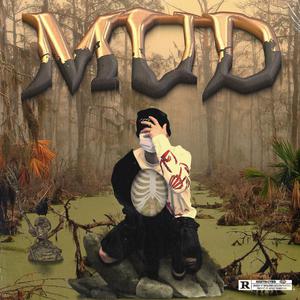 美女网站视频（黄）
