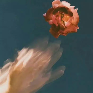 美女网站视频（黄）
