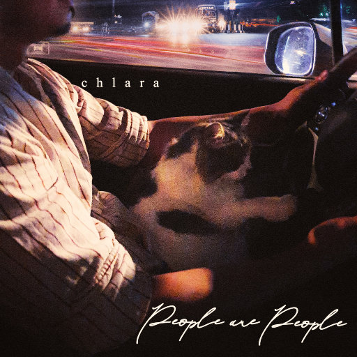 美女网站视频（黄）
